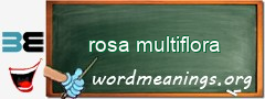 WordMeaning blackboard for rosa multiflora